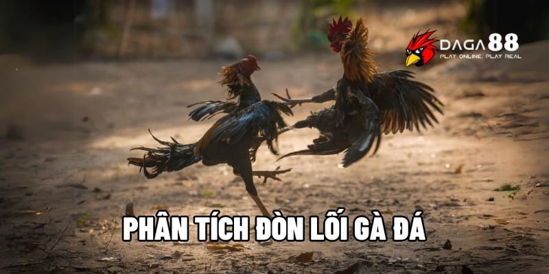 Phân Tích Đòn Lối Gà Đá Daga88 - Cược Đâu Thắng Đó 1 phân tích đòn lối gà đá